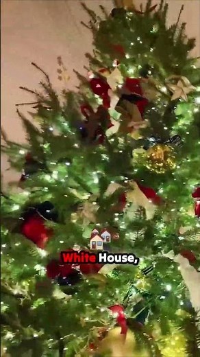 LEGO LEGENDS side-by-side! 🧱 Presidents Trump and Washington immortalized in bricks, plus a gingerb