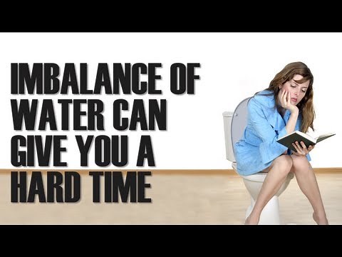 Everything You Need To Know About Poop