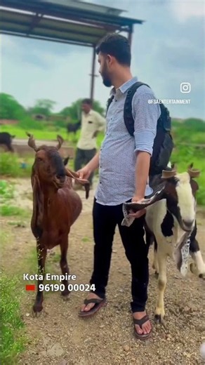 Kota Empire - Top Bloodline Kota Goats