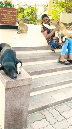 Cute Dog 🐕#shortvideo #puppy #doglover#love