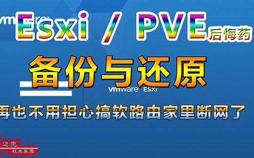 【必看教程】Esxi/PVE虚拟机下，配置的备份与还原！虚拟机后悔药，搞软路由和超级网络，轻松应对一切崩溃风险，立即恢复健康状态。