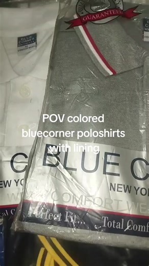 Blue Corner Men's Polo Shirt with lining