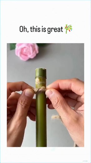 @viraltok.pro on Instagram: "The post features a 19-second video demonstrating how The post features a 25-second DIY video tutorial demonstrating how to weave a simple square tray from thin bamboo strips and twine, culminating in it holding small oranges, which has garnered over 1.1 million views for its accessible, eco-friendly craft appeal. Posted by a Japanese beauty enthusiast, the casual caption "Eh, this is nice~" with a Tanabata bamboo emoji highlights admiration for traditional weaving t