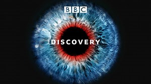 Discovery - Sex - BBC Sounds