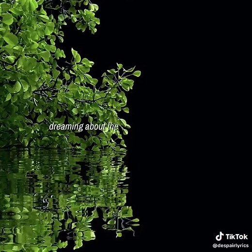 Counting Stars by OneRepublic - Lyrics and Meaning