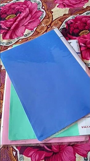 FC Size Presentation Display Book Folder File Binders with Plastic Clear Sleeves Document Organizer