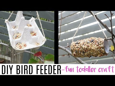 HOW TO MAKE A BIRD FEEDER | EASY KIDS DIY