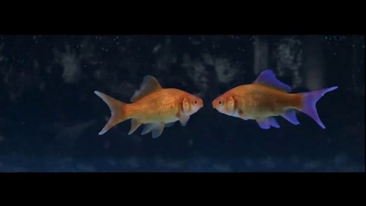 Planet Fitness TV Spot, 'Bring On the New Year'