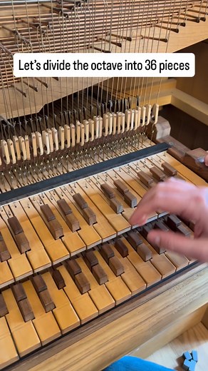 36 tones per octave on Archiorgano designed by Nicola Vicentino in 16th century and 6 tones between D and E instead of 2. Having fun with my dear friend Johannes Keller at Harvard University’s Center for Renaissance Studies @villaitatti Place: @villaitatti Guitar: @microtonalguitars @luthieranilaras Institute: @microtonalguitarinstitute @perdeleriayarlamaenstitusu #microtonalguitar #itatti #archiorgano #nicolavicentino #florence | Tolgahan Çoğulu