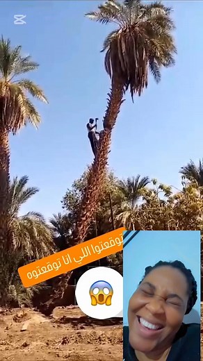 Where this man go from palm tree 🌴 | T-Smile