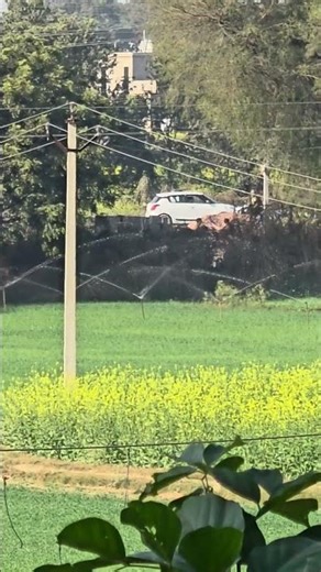 sprinkler system #sprinkler #irrigationmethod #farmer #farming