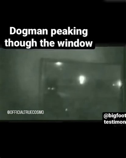 3K views · 67 reactions | This video shows what's said to be a Dogman...