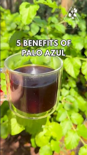 5 BENEFITS OF PALO AZUL