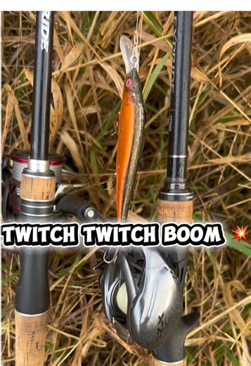 Twitch Twitch Boom 🔥🎣 Livebite 🔥 Tackle zum Twitchen findet ihr bei @keni_lures, checkt unbedingt die verschiedenen Twitchbaits von Megabass an 🎣✌🏻 Mit dem Code Kester10 spart ihr noch 10 Prozent 🐟 #zander #perch #bars #bass #fishingtiktoks