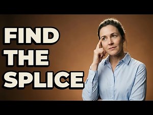 Which Sentences Are Examples Of Comma Splices?