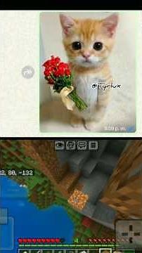 Que Poeta 4🗿🍷 #shorts #viral #piropos