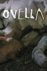 Ovella - Movie