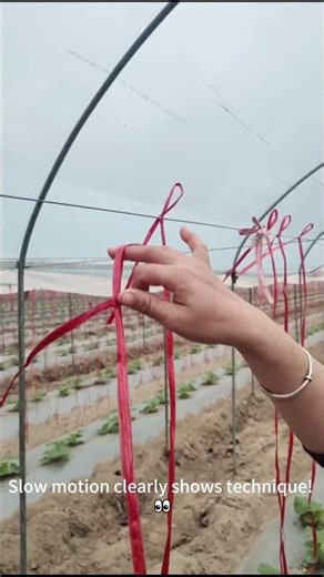 One hand ties vine support knot! 🔧