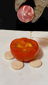 Fire Ball vs Tomato 🍅🍅 | Fire Ball Experiments