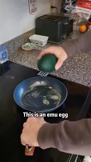 56K views · 900 reactions | So many strange and weird eggs #Science #usa #egg | Kevin Science America | Facebook