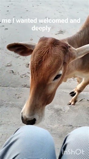 I am wanted, welcomed and deeply loved 😍 #speechtherapy #children #affirmations