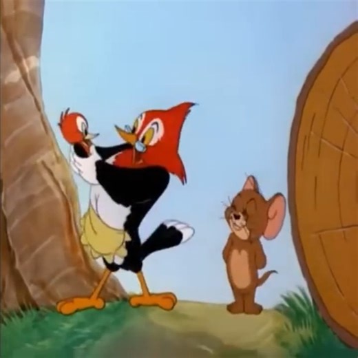 Best Cartoon Netflix 2025 | Cartoon Videos