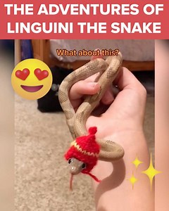 Linguini is not just a simple snake.. He’s the cutest snake! 🐍 Thanks to @linguini_thesnake (TikTok: www.tiktok.com/@linguini_thesnake / IG: www.instagram.com/linguini_thesnake/ ) | BuzzFeed UK