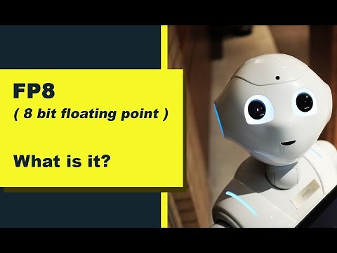 FP8 ( 8 bit floating point ). What is it?