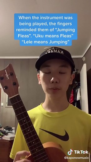The Origin Story of the Ukulele