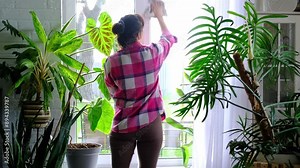 Woman manually washes the window of the house with rag cleaner and mop inside the interior with white curtains and home plants. Restoring order and cleanliness in the spring, cleaning servise