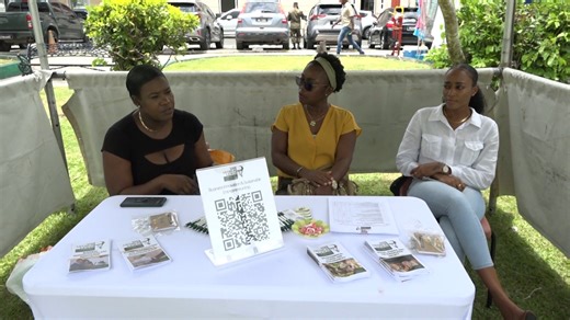 4.9K views · 19 reactions | With admissions now open, Sir Arthur Lewis Community College hosted an information fair at Derek Walcott Square to spotlight new courses in web programming, animation, agriculture, and more. The event also encouraged non-traditional students to take the next step in their education journey. | Dbstvstlucia | Facebook