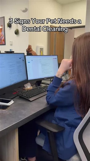 Signs Your Pet Needs Dental Cleaning: Bad Breath & More