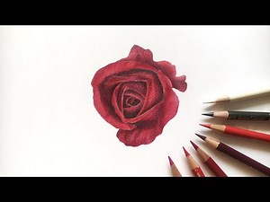 How to Draw a Red Rose in Colored Pencil