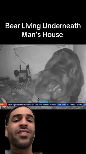 Lawrence Johnson | So the bear underneath bro crib as we speak ??? Ain’t no way son 🤣🤣 | Instagram