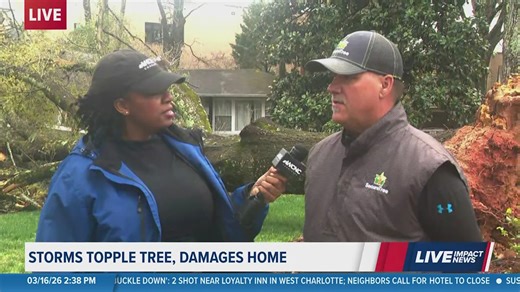 Huge tree falls on house in south Charlotte