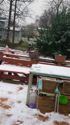 pov In mc you set it to always day