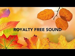 Rustling Leaves - Royalty Free Sound Effect