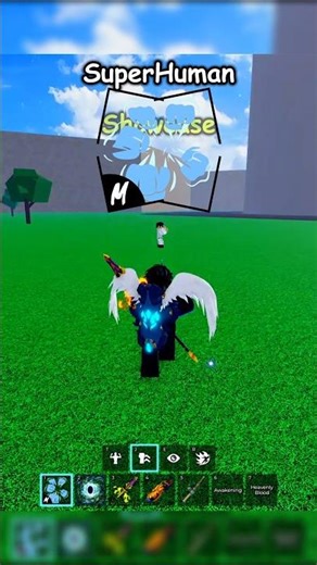 Super Human Showcase And Location In Blox Fruits ROBLOX ✨