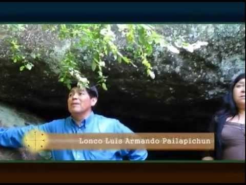 NGEN : Espíritus de la Naturaleza presentes en la Cosmovisión Mapuche.