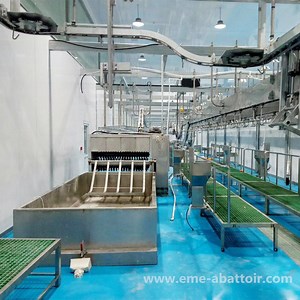 [Hot Item] Chinese Supplier Sheep Carcass Scalding Abattoir Equipment for Slaughterhouse Slaughtering Machine