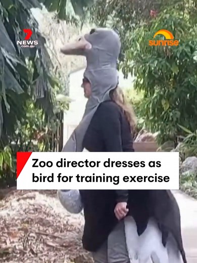 A 'down to earth' Queensland zoo director has gone above and beyond he... | Cassowary