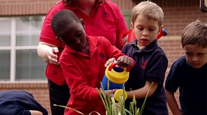 93K views · 524 reactions | What do values like caring and giving have to do with learning? Find out how character development plays an important role in a child's early education. | Primrose Schools | Facebook