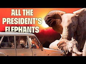 An Incredible Journey | FULL DOCUMENTARY | All The President's Elephants | ‪@UltimateNatureDocs‬