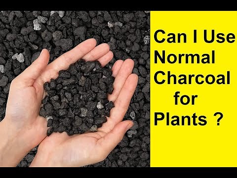 Benefits of Charcoal for Plants