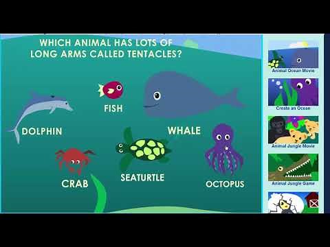 Animal Ocean Game - Learn about animals in the ocean! - Sheppard Software