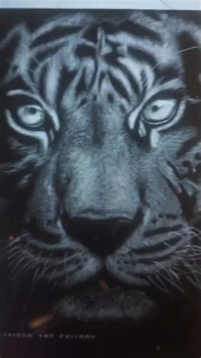 realistic tiger sketch #art #artform #sketchart