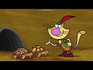 Nature Cat Why Did The Turtle Cross The Road (Part 2/Finale Part)