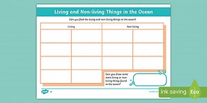Sorting Living and Non-living Things in the Ocean