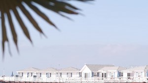 Palm Tree Wooden Crystal Pier Cottages Stock Footage Video (100% Royalty-free) 1087983031 | Shutterstock