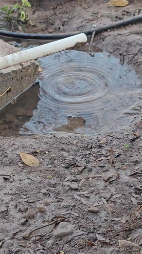 *Reutilizar el agua de condensación del minisplit* El agua de condensación que se produce en un minisplit se puede reutilizar de varias maneras, siempre y cuando se tomen las precauciones adecuadas para garantizar su calidad y seguridad. *Usos posibles:* - *Riego de plantas*: El agua de condensación puede ser utilizada para regar plantas, ya que es agua limpia y libre de minerales que pueden dañarlas. - *Limpieza*: El agua de condensación puede ser utilizada para limpiar superficies, como ventan